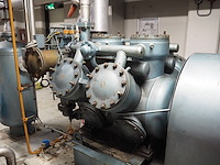 Grasso - afbeelding 2 van  15