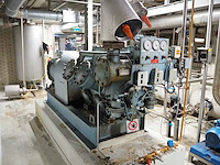 Grasso - afbeelding 8 van  15