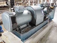 Grasso - afbeelding 9 van  15