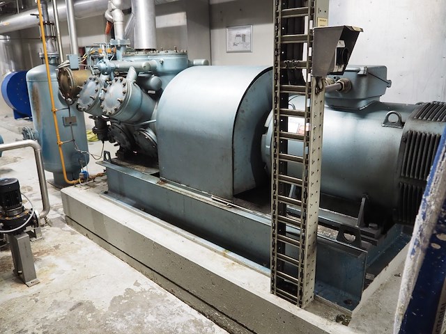 Grasso - afbeelding 10 van  15