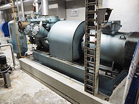 Grasso - afbeelding 10 van  15