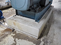 Grasso - afbeelding 11 van  15