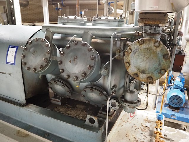 Grasso - afbeelding 12 van  15