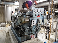 Grasso - afbeelding 13 van  15