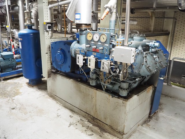 Grasso - afbeelding 1 van  12