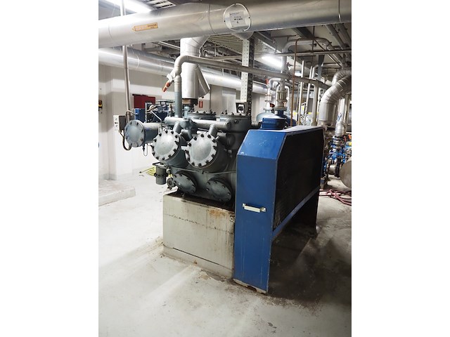 Grasso - afbeelding 6 van  12