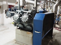 Grasso - afbeelding 6 van  12