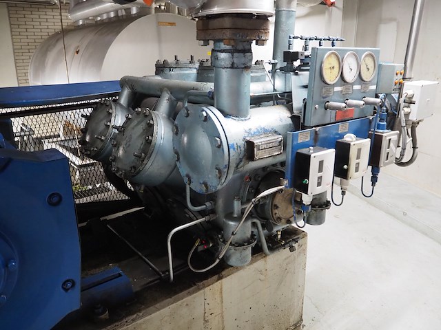 Grasso - afbeelding 7 van  12