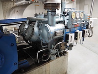 Grasso - afbeelding 7 van  12