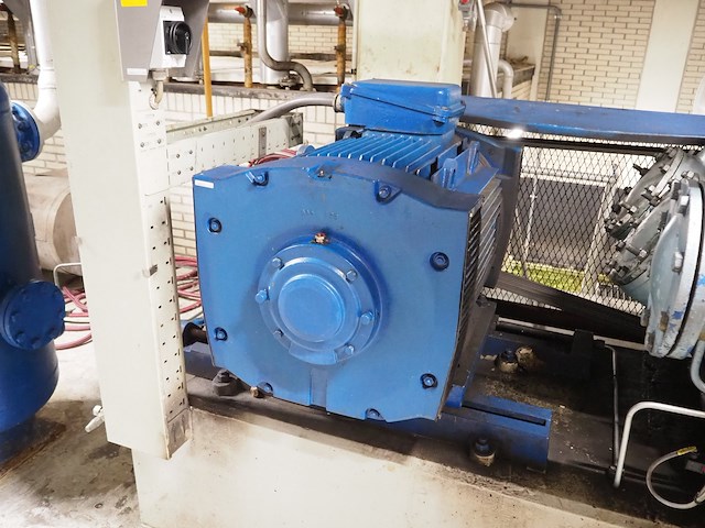 Grasso - afbeelding 10 van  12