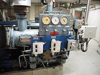 Grasso - afbeelding 12 van  12