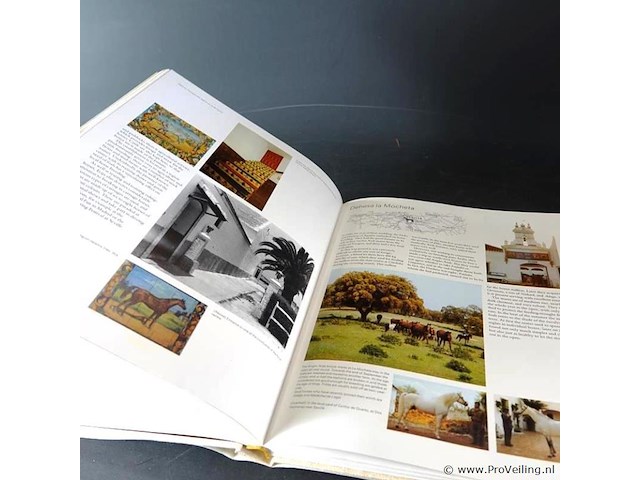 Great stud farms of the world - afbeelding 4 van  5