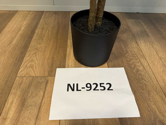 Green dracaena kunstplant (200cm hoog) - afbeelding 4 van  12