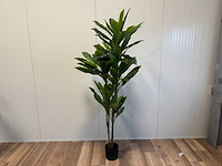 Green dracaena kunstplant (200cm hoog) - afbeelding 1 van  12