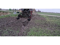 Greppelfrees - afbeelding 26 van  28