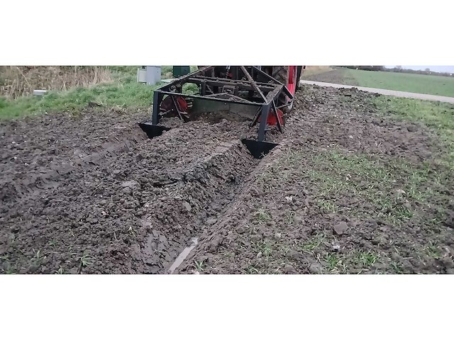 Greppelfrees - afbeelding 27 van  28