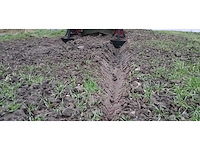 Greppelfrees - afbeelding 28 van  28