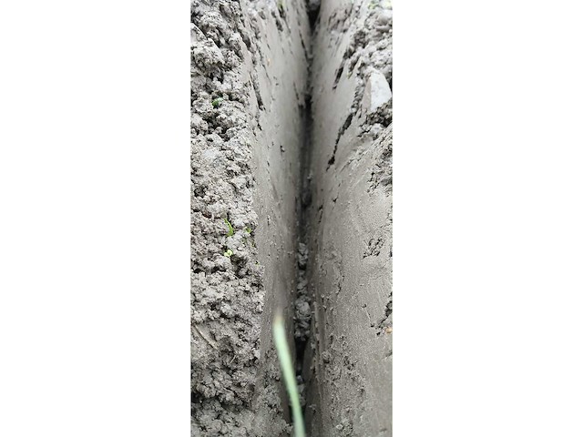 Greppelfrees - afbeelding 20 van  22