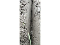 Greppelfrees - afbeelding 20 van  22