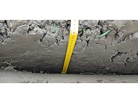 Greppelfrees - afbeelding 21 van  22