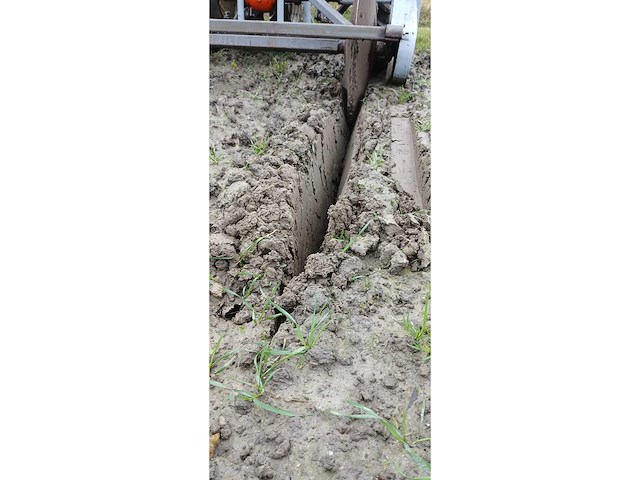 Greppelfrees - afbeelding 22 van  22