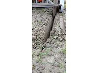 Greppelfrees - afbeelding 22 van  22