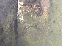 Grijper - afbeelding 5 van  7