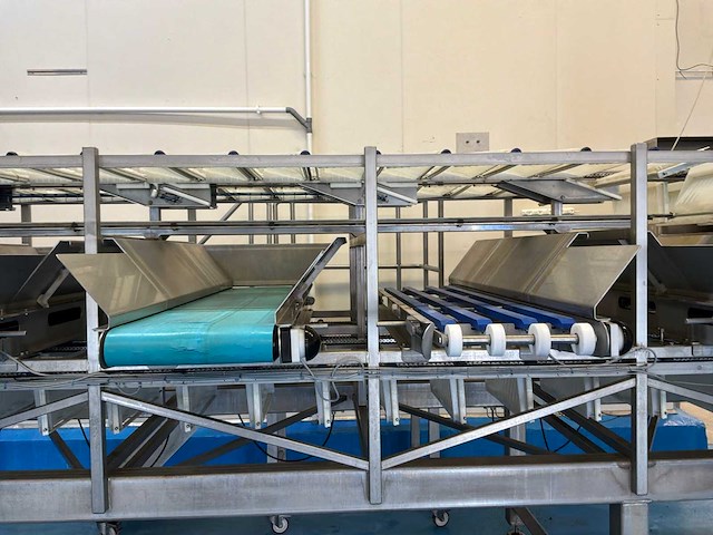 Grisnich rvs vissorteerlijn met kantelinrichting - afbeelding 2 van  13
