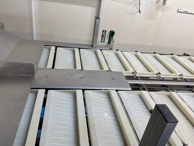 Grisnich rvs vissorteerlijn met kantelinrichting - afbeelding 10 van  13