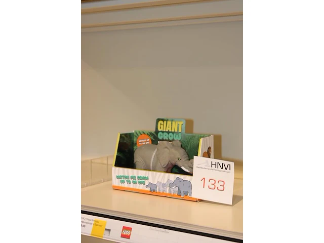 Groei olifant - afbeelding 2 van  2