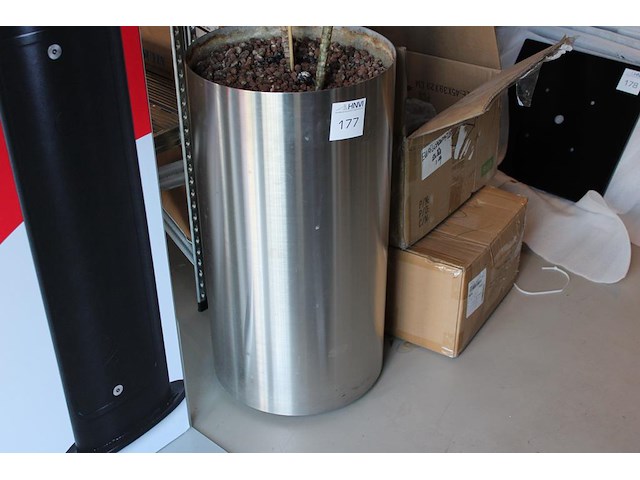 Groene plant in hydrocultuur pot. pothoogte 78 cm. - afbeelding 1 van  2