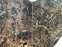 Grohe regendouche met glijstangset - afbeelding 3 van  8