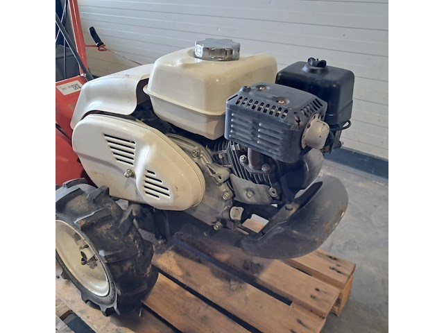 Grondfreesmachine - 6pk - benzine, herkules / orec, sf600d, 2019 - afbeelding 3 van  19