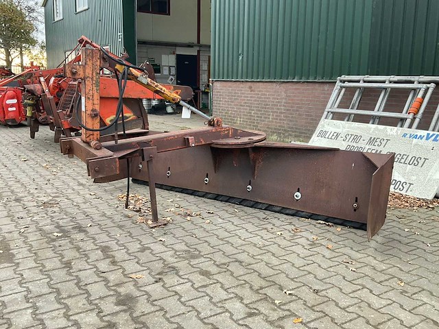 Grondschaaf - afbeelding 1 van  7