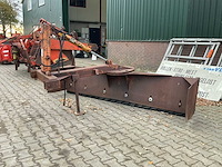 Grondschaaf - afbeelding 1 van  7