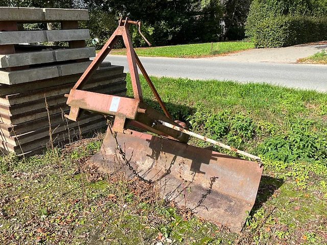 Grondschaaf - afbeelding 1 van  7