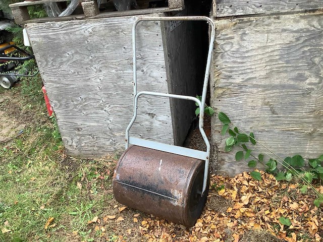 Grondwals - afbeelding 1 van  2