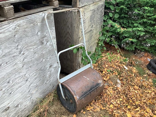 Grondwals - afbeelding 2 van  2