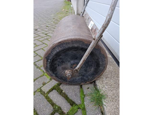 Grondwals - afbeelding 2 van  3