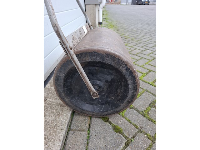 Grondwals - afbeelding 3 van  3