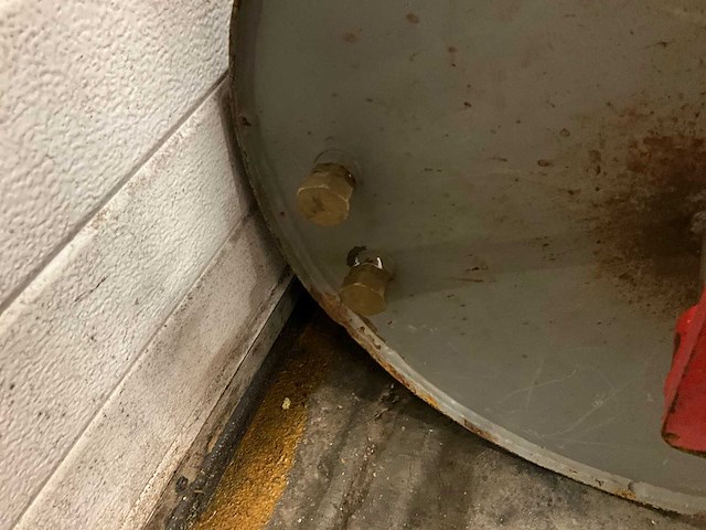 Grondwals - afbeelding 4 van  4