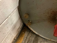 Grondwals - afbeelding 4 van  4