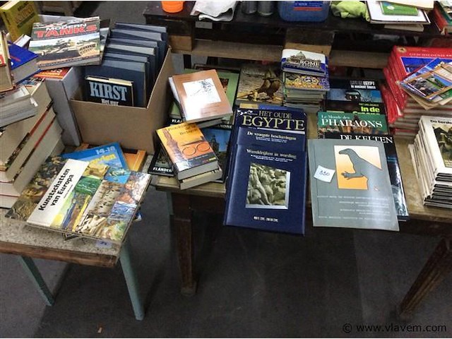 Groot lot diverse boeken - afbeelding 1 van  5