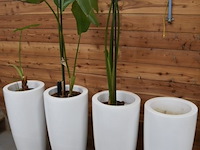 Grote design plantenpotten - afbeelding 1 van  3