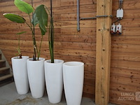 Grote design plantenpotten - afbeelding 2 van  3