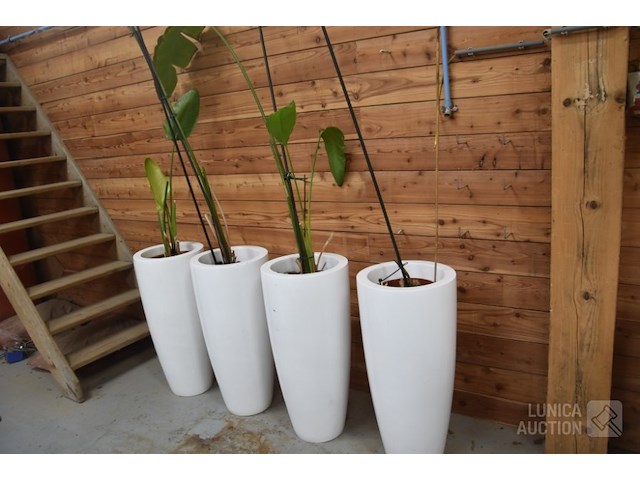 Grote design plantenpotten - afbeelding 1 van  4