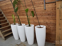Grote design plantenpotten - afbeelding 1 van  4