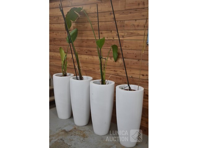 Grote design plantenpotten - afbeelding 2 van  4