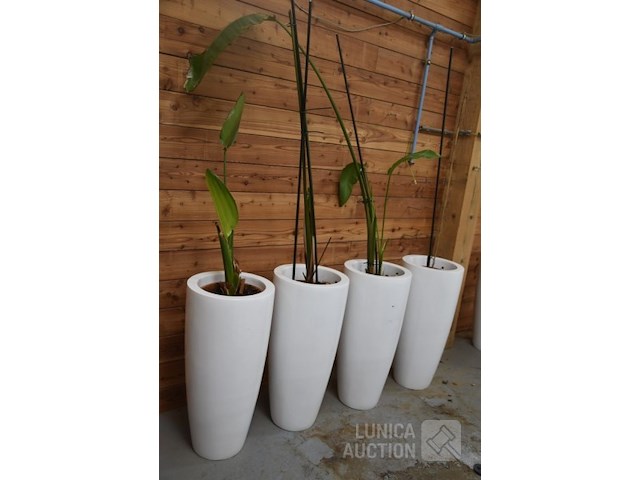Grote design plantenpotten - afbeelding 4 van  4
