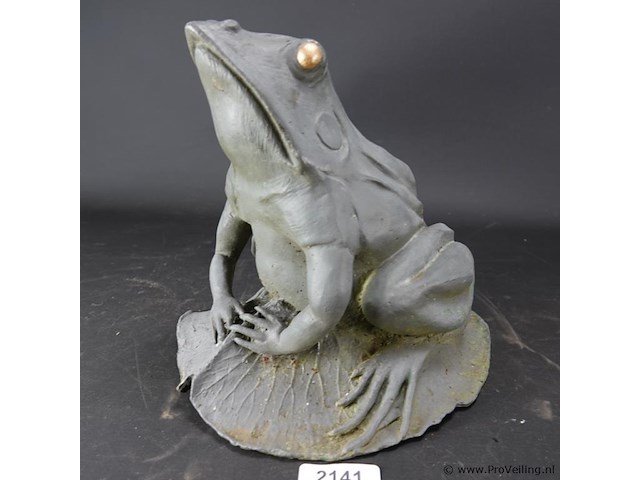 Grote ijzeren kikker - afbeelding 1 van  5